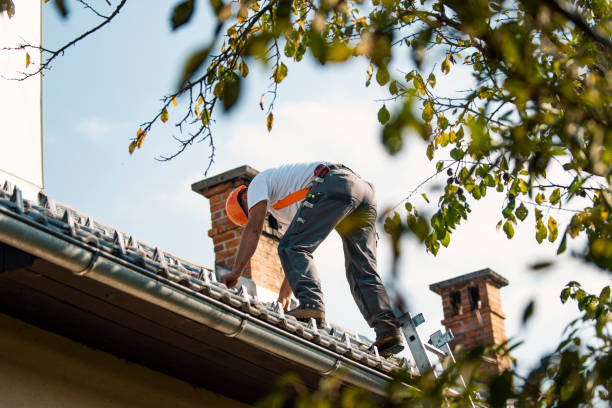 Best Residential Roof Replacement  in Ukiah, CA